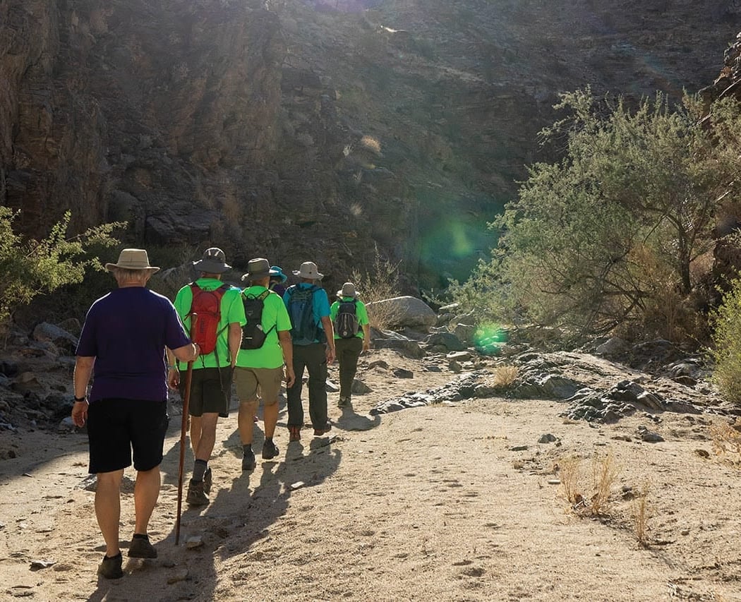 Carrizo Canyon Hike